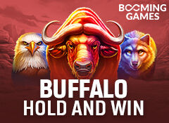 Buffalo Hold and Win